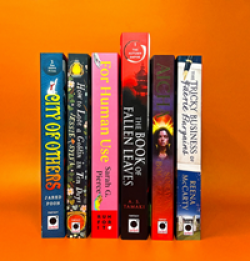 New Voices Book Bundle Giveaway prize ilustration