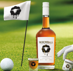 Skrew A Round Golf Sweepstakes prize ilustration