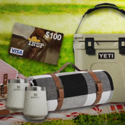INSP Prairie Picnic Sweepstakes prize ilustration