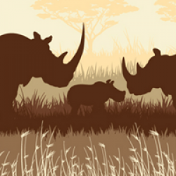 Rhino Trip Sweepstakes prize ilustration