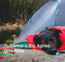 Ruffwear x Big Agnes Giveaway prize ilustration
