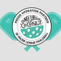 Major League Pickleball Sweeps...