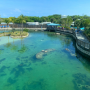 Ultimate Florida Vacation Swee...