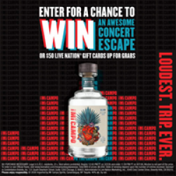 Mi Campo Concert Trip Sweepstakes prize ilustration