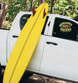 Quiksilver X Pacifico Surfboard Giveaway prize ilustration