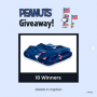 Berkshire Home x Peanuts Sweep...