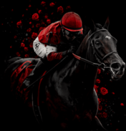 Black Stallion Off to the Races Sweepstakes prize ilustration