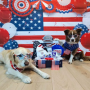 DOGTV June Giveaway