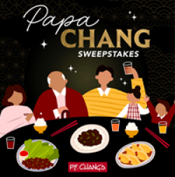 Papa Chang Sweepstakes prize ilustration