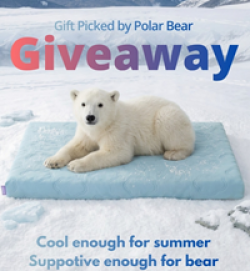 Lesure Orthopedic Cooling Bed Giveaway prize ilustration
