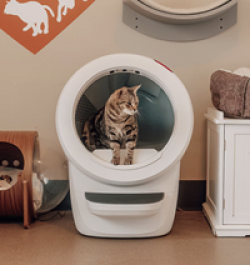 Litter-Robot 4 Best Friends Sweepstakes prize ilustration