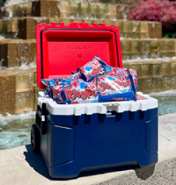 ExtraMile Fourth of July Sweepstakes prize ilustration