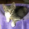 User profile picture winprizesonline