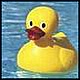 User profile picture winprizesonline